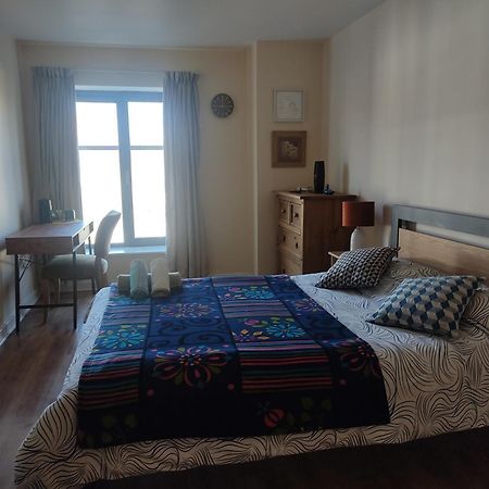 דבלין Swallows Nest - Spacious Bright Double Bedroom With Ensuite Bathroom מראה חיצוני תמונה