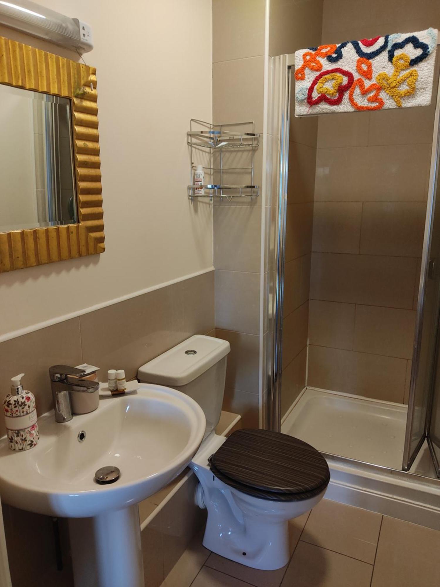 דבלין Swallows Nest - Spacious Bright Double Bedroom With Ensuite Bathroom מראה חיצוני תמונה